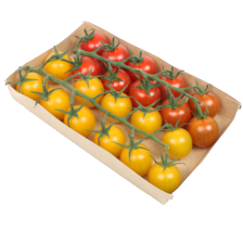 Zoete troscherry mix tomaten